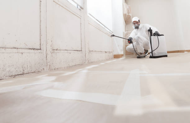 24/7 Emergency Basement Mold Removal experts in Mendham, NJ